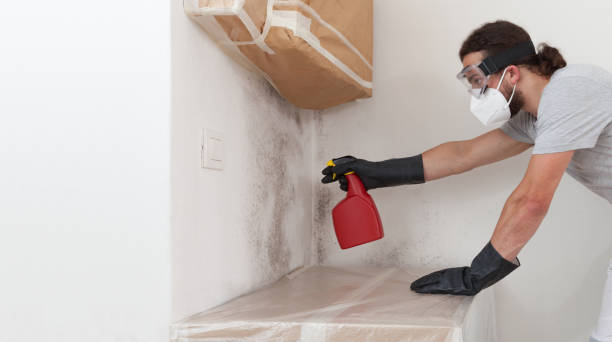 Professional Mold Removal technician working in Hilltown, PA