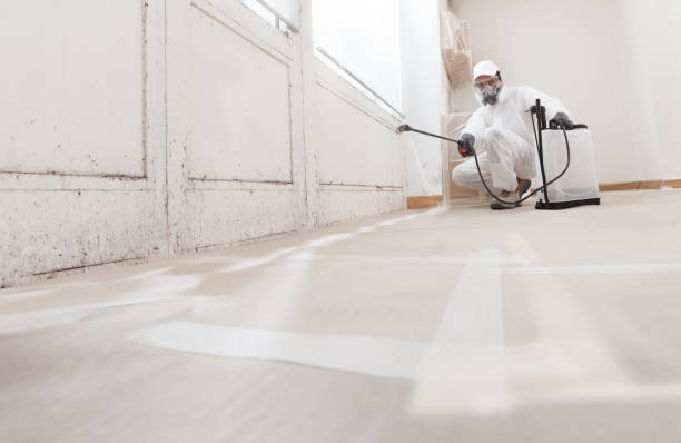 24/7 Emergency Mold Removal experts in Hilltown, PA